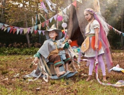 O masina multi-talentata pentru cusut, broderie, quilting